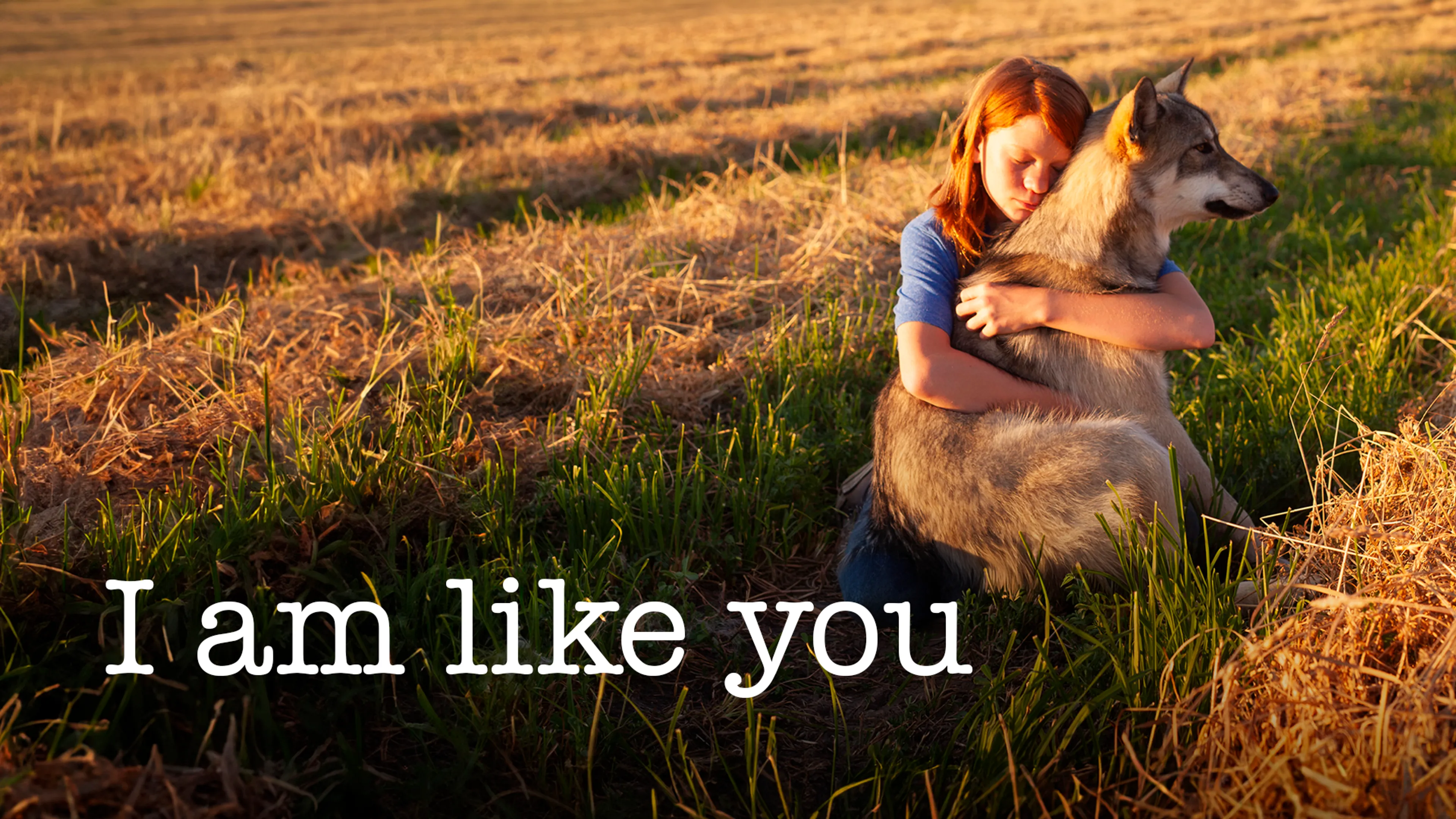 I Am Like You poster
